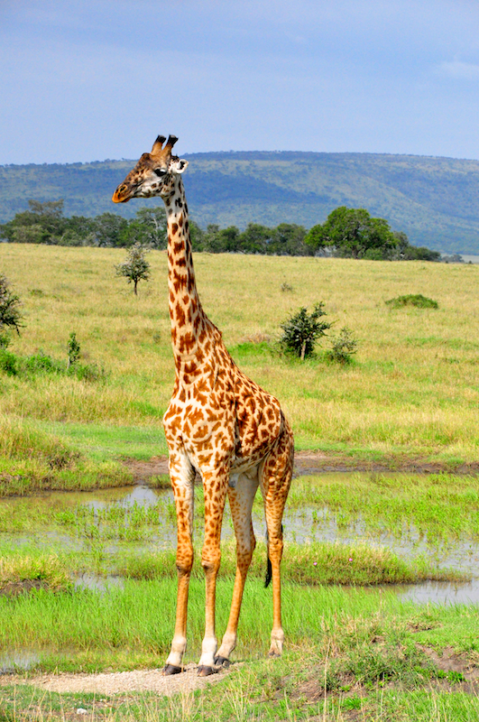 Melanie Heinrich Travel Images Africa